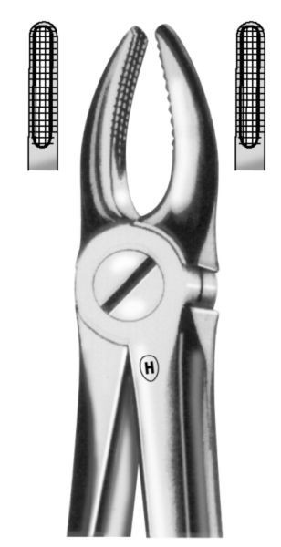 HSA 101-02