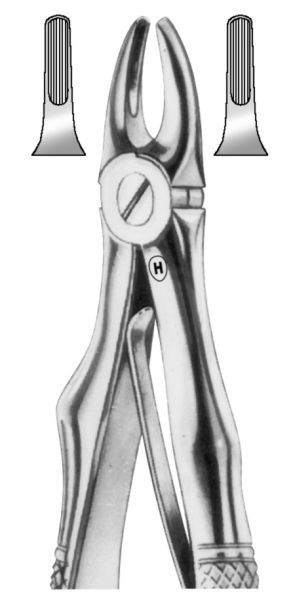 HSA 340-01