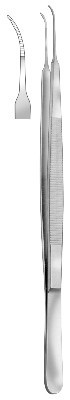 HSC 251-17