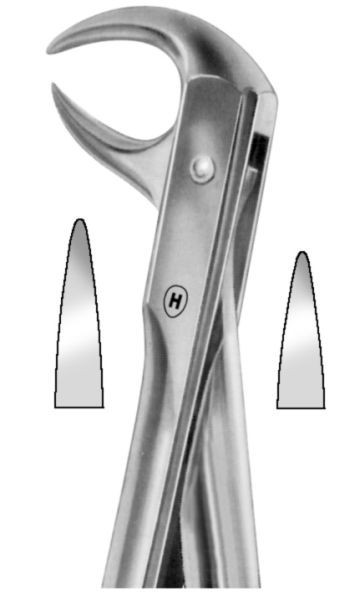 HSA 161-86